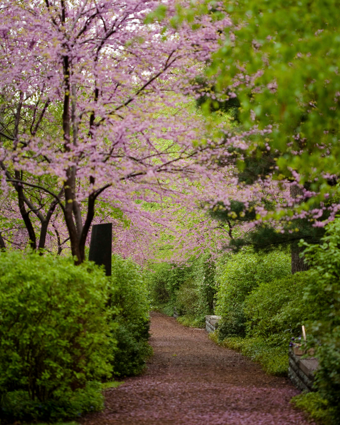 Van winterbenen naar lenteklaar: zo bouw je je fietsseizoen slim op